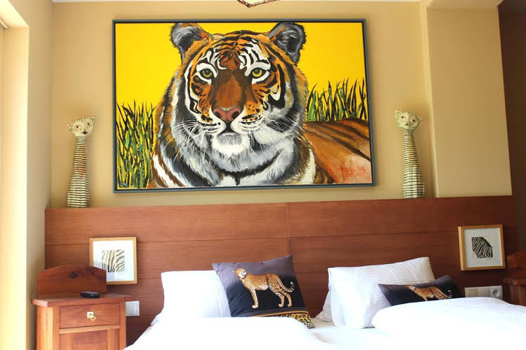room photo