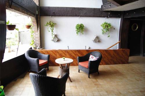 Cabo Tortuga Hotel Boutique — foto 4