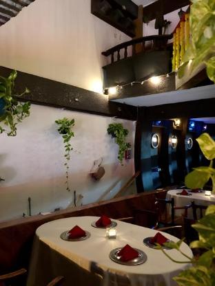 Cabo Tortuga Hotel Boutique — foto 3